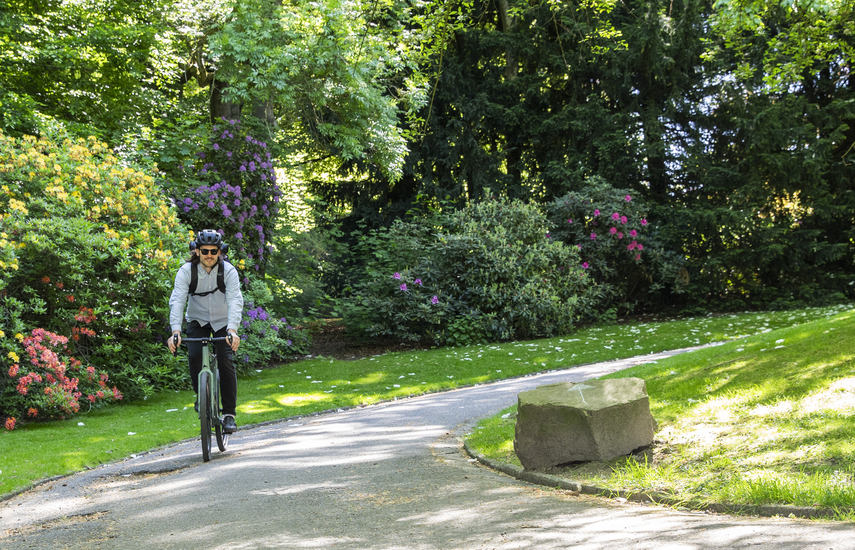 Beweg was, beweg dich