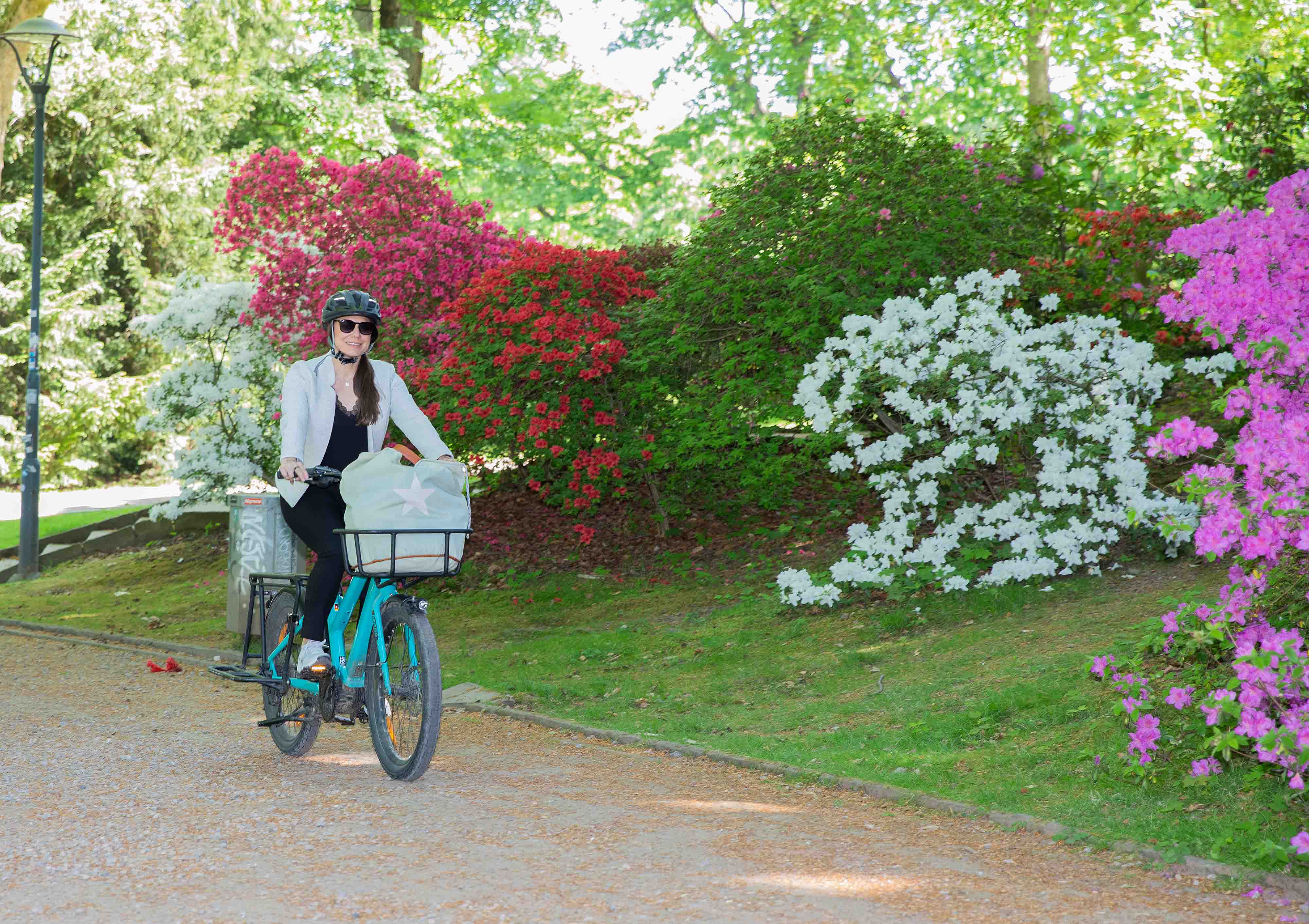 Beweg was, beweg dich